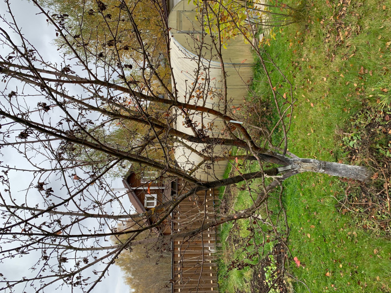 IMG_1623.jpg