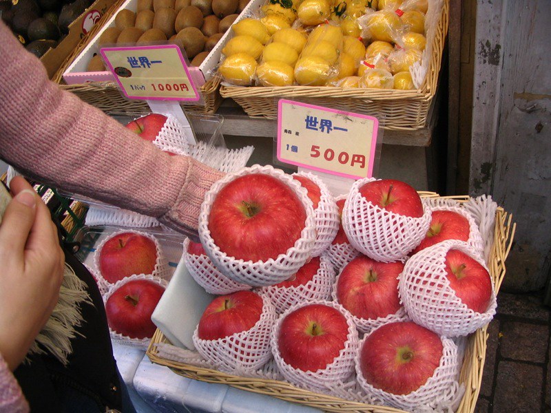 444529758_c8d9abbf59_c.jpg