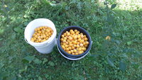 20140812_121257.jpg