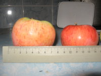 IMG_3561.JPG