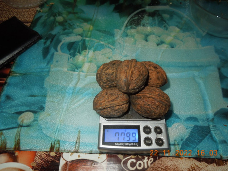 DSCN9318.JPG