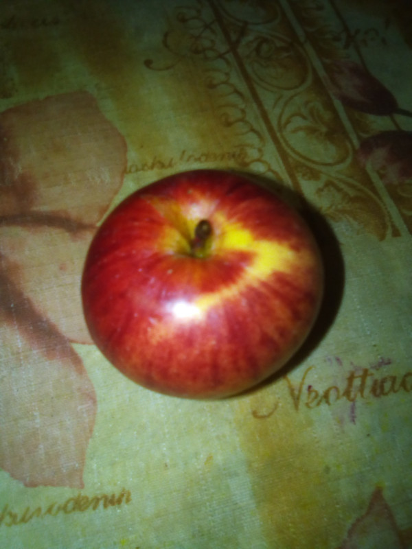 IMG_20221128_012904.jpg