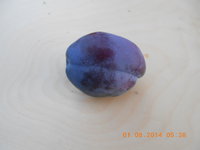 DSCN4614.JPG