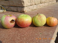 DSCN4751.JPG