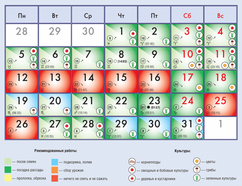 Посевной-календарь-на-декабрь-2022-года-1536x1180.png