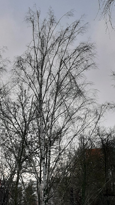 20221212_090208.jpg