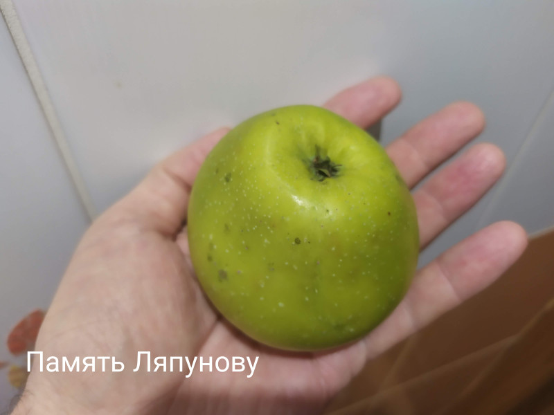 IMG_20221217_132327.jpg