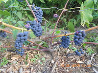 DSCN4761.JPG