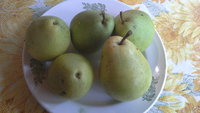 20140817_130323.jpg