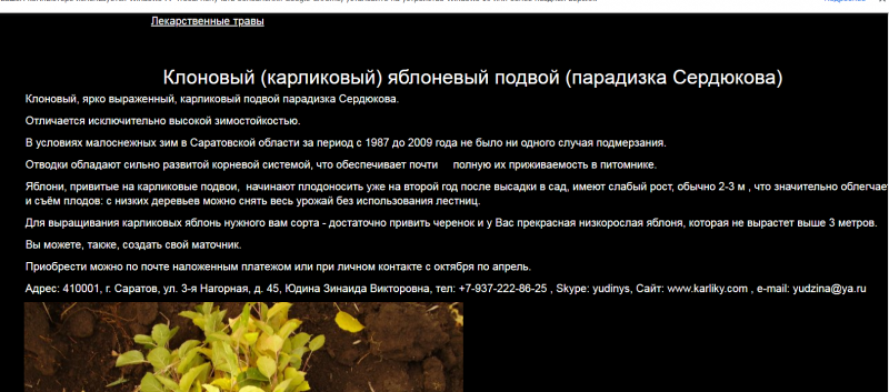 Фото1.PNG
