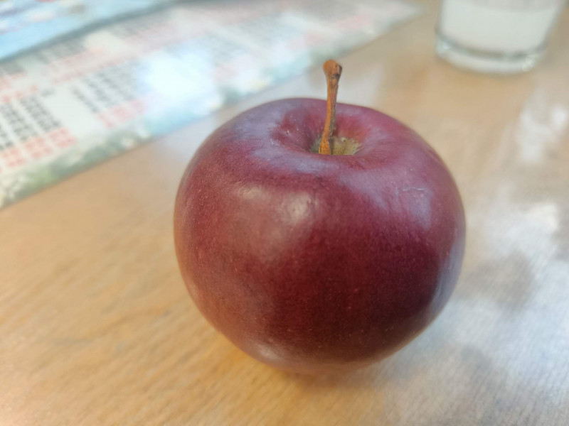 0_IMG20221225103242.jpg