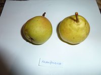Кафедральная 3.jpg