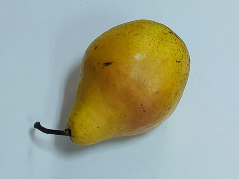 Ксения (Ноябрьская Молдовы)