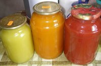 P1011086-1.jpg