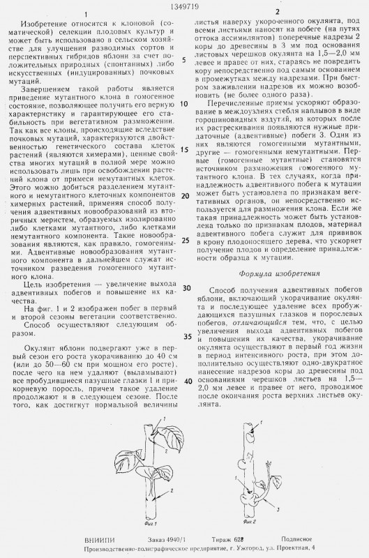 Способ получения адвентивных побегов яблони 2.jpg