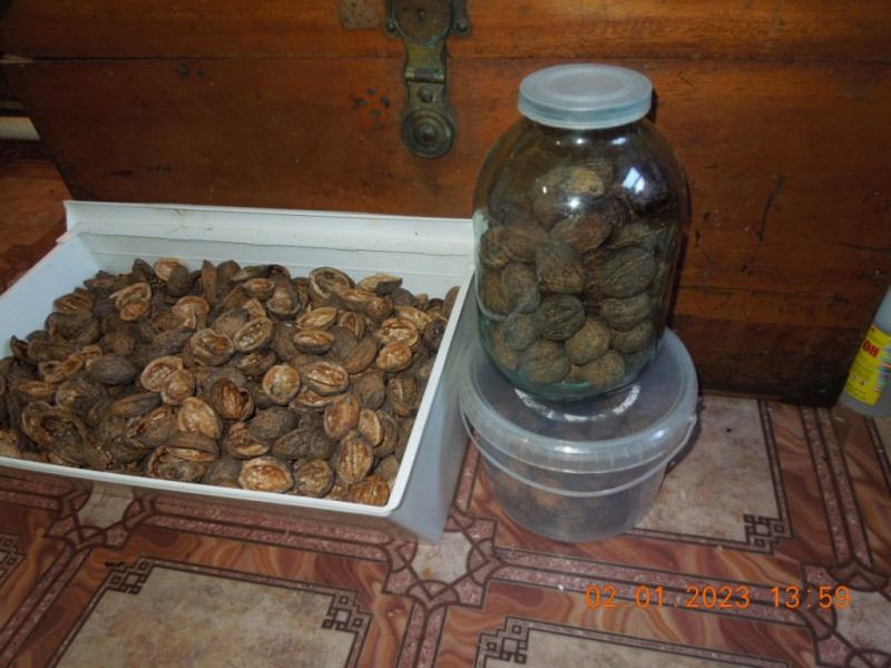 DSCN9341.JPG