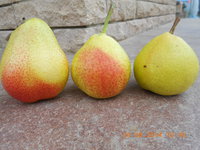 DSCN4777.JPG