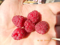 DSCN4799.JPG