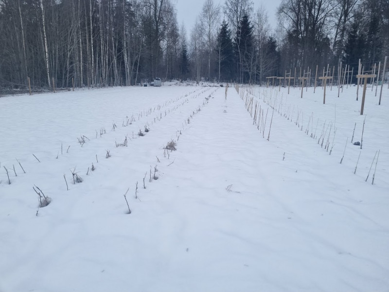 20221226_123316.jpeg