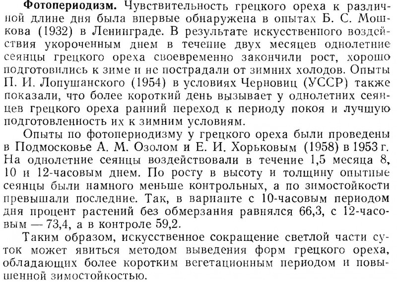 фотопериодизм.jpg