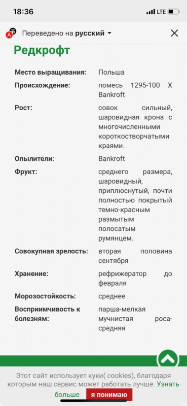 AEF5027A-3A1D-4229-9C95-4223561E8238.jpeg