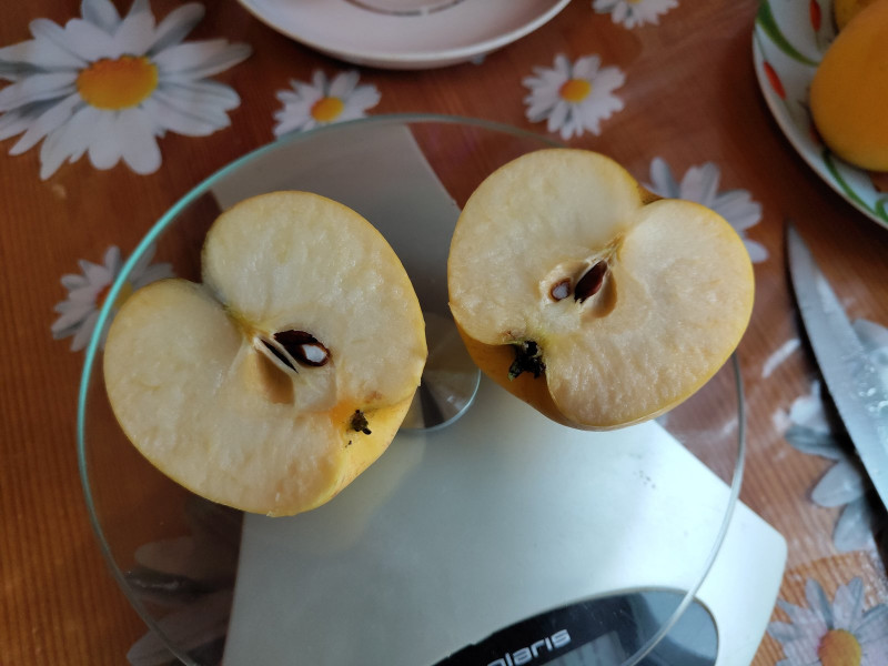 Опал