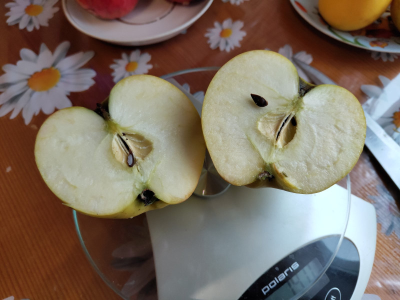 Сириус