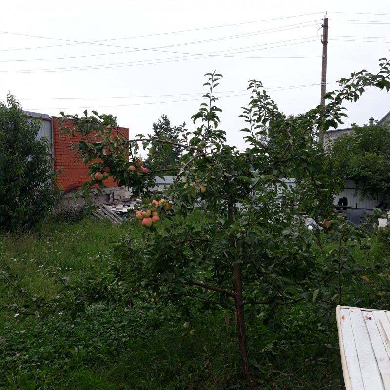 20220813_170820.jpg