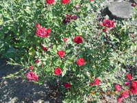 DSCN4334.JPG