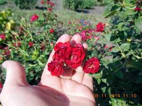 DSCN4342.JPG