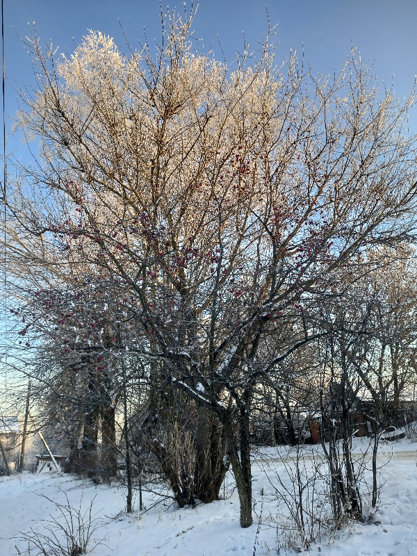 20230202_231618.jpg