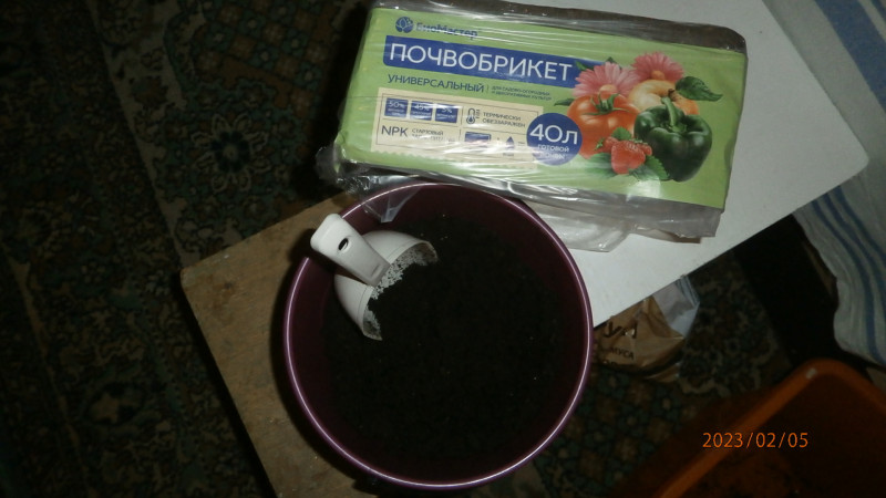 P2056528.JPG