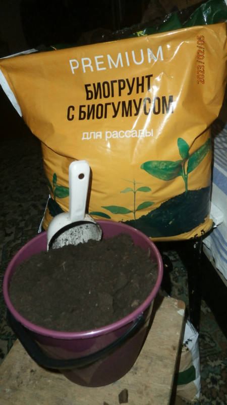 P2056530.JPG