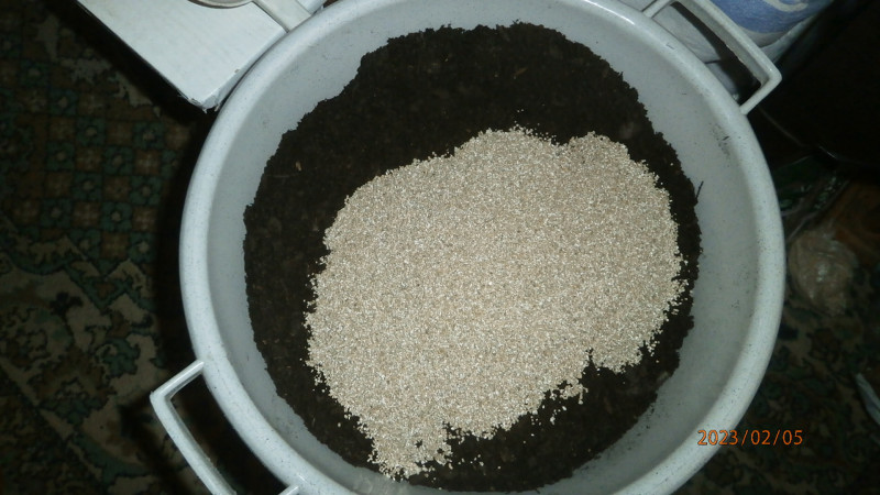 P2056532.JPG