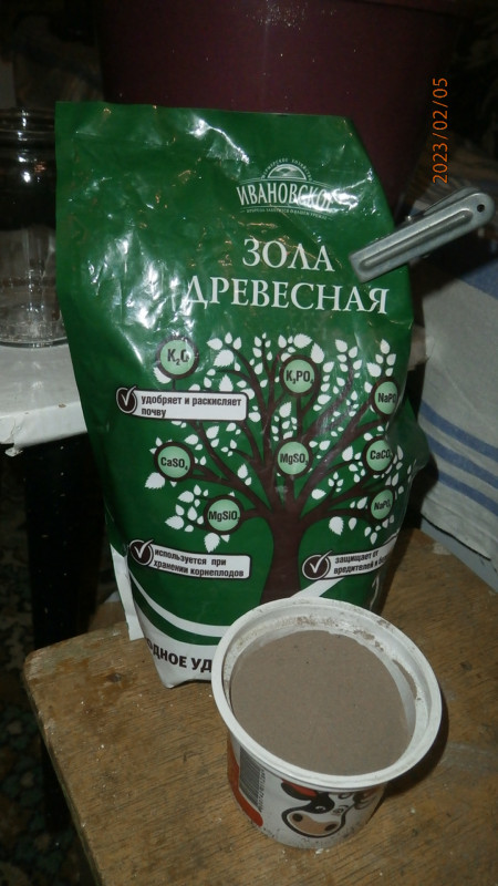 P2056533.JPG