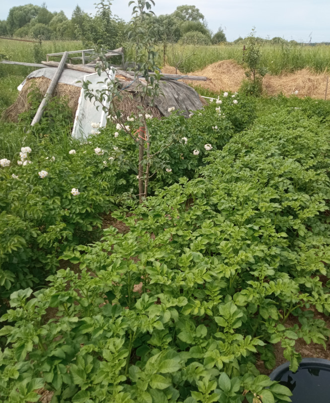 По центру К. Анна.