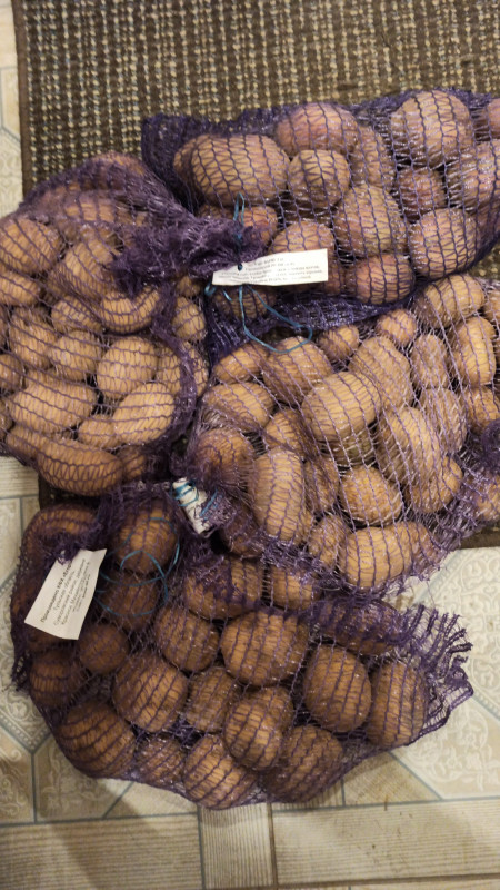 IMG-20230210-WA0064.jpeg