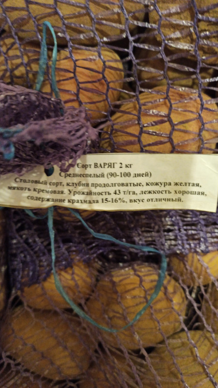 IMG-20230210-WA0061.jpeg