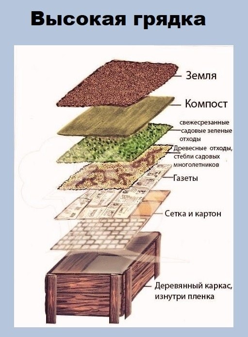 2962123192.jpg