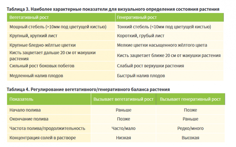 Screenshot 2023-02-12 at 22-00-48 Семена и обмен знаниями_томаты2019.indd - semena_i_obmen_znaniyami_tomaty_2019.pdf.png