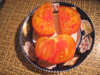IMG_6082.jpg