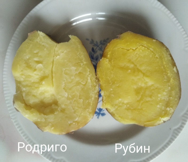 изображение_viber_2023-03-04_15-02-59-303.jpg