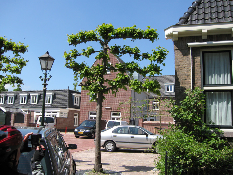 IMG_2761.JPG