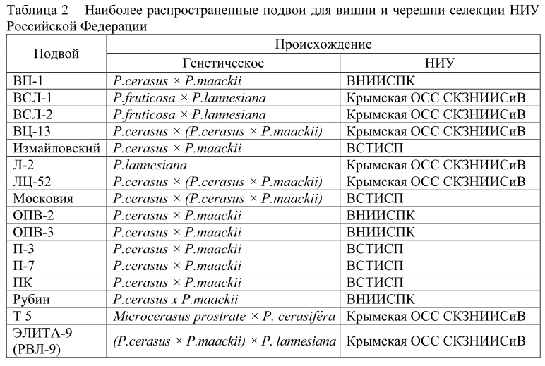 Подвои вишни и черешни.jpg