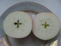 Семенные камеры у плодов
