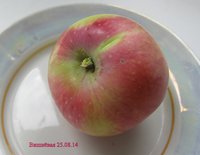 Вишнёвая 25.08.14г