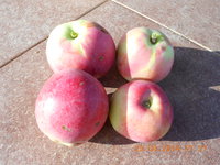 DSCN4864.JPG