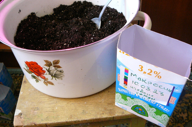 P1020068.JPG