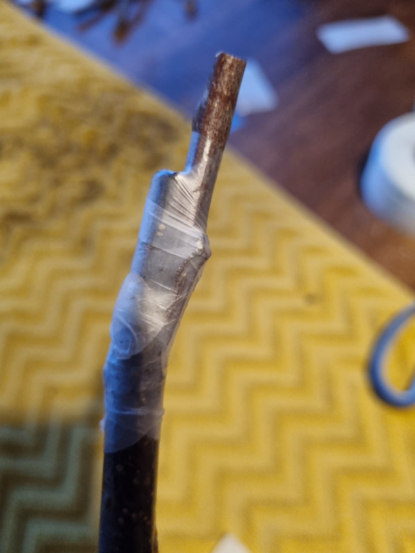 20230311_180157.jpg
