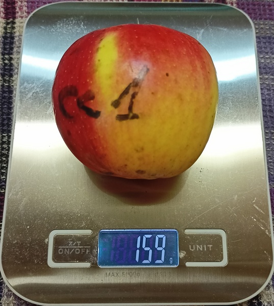 СС1.04.01.23.jpg